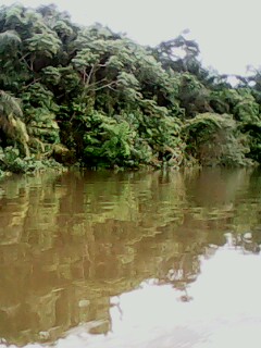 Article : Ma blog-expo: Douala pictures