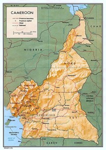 Article : Camerounais en otage: on s’en fout