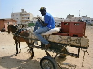 Boubacar sur son taxi-charrette. Par Myl&egrave;ne Colmar