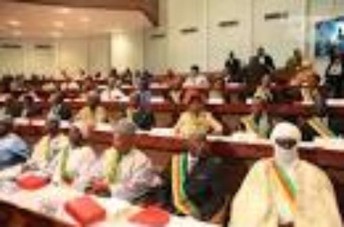 Article : Cameroun: sénateurs ou députés, quelle différence?