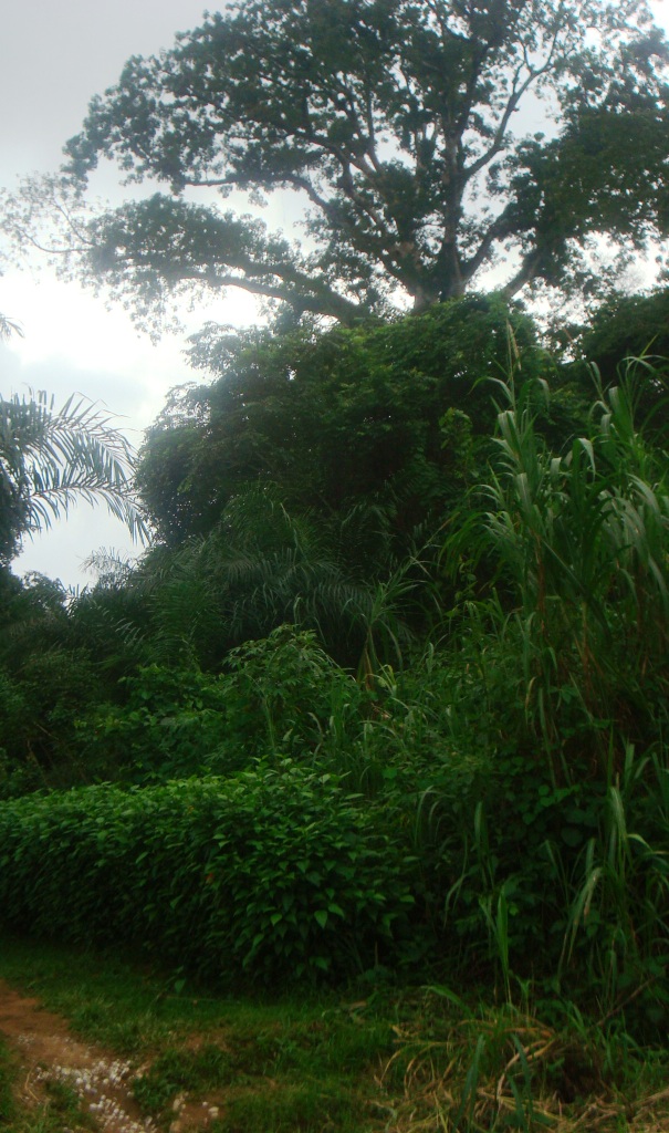 Le paysage est féérique au village. "Crédit photo: Josiane"