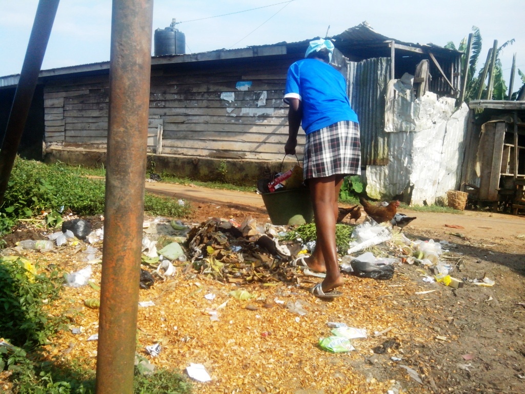 Article : Ma bog-expo II: Douala, cette ville-poubelle